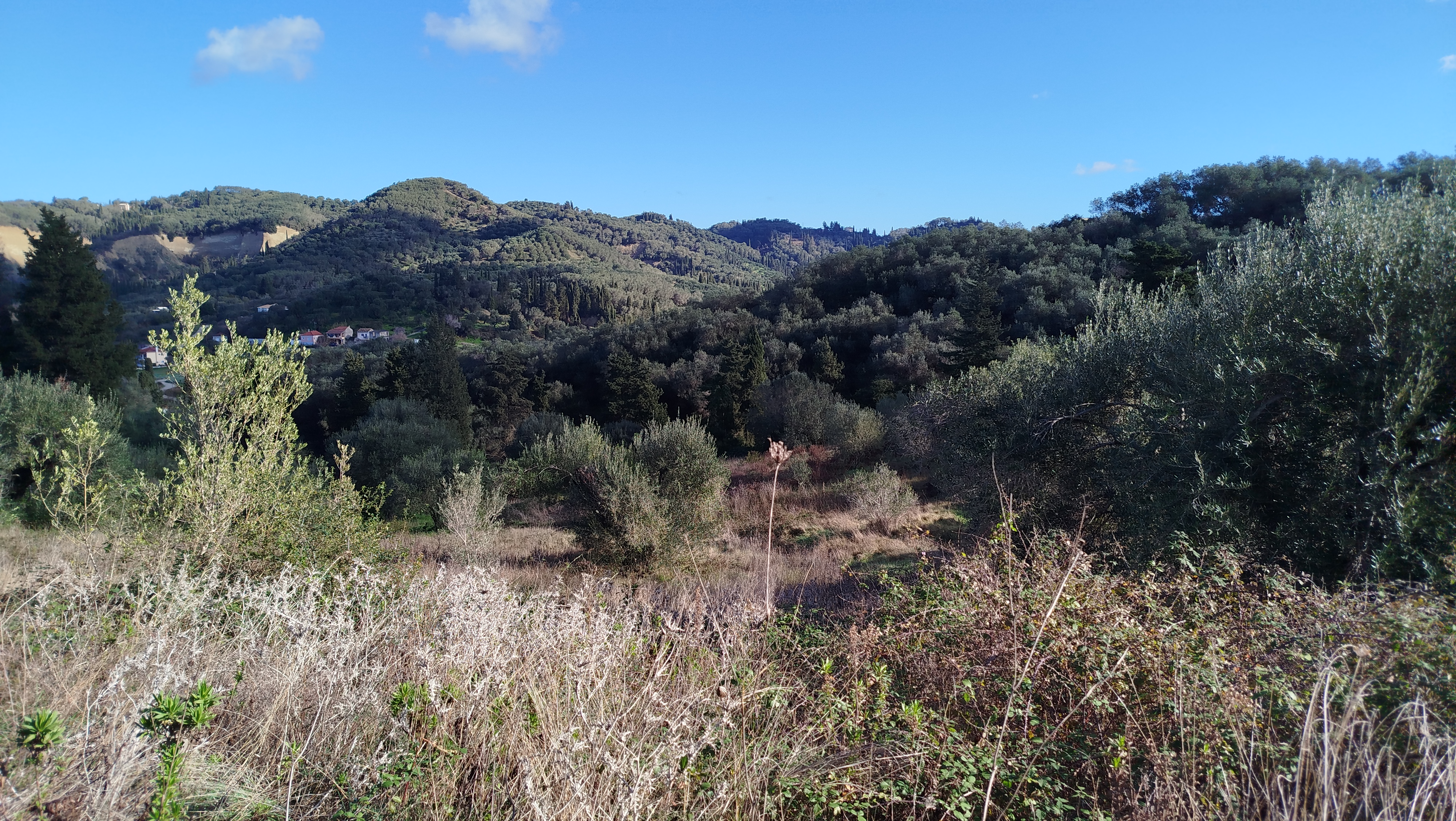 Listing photograph 4 of 6 of the land in Arilas, published by Roula Rouva Real Estate.