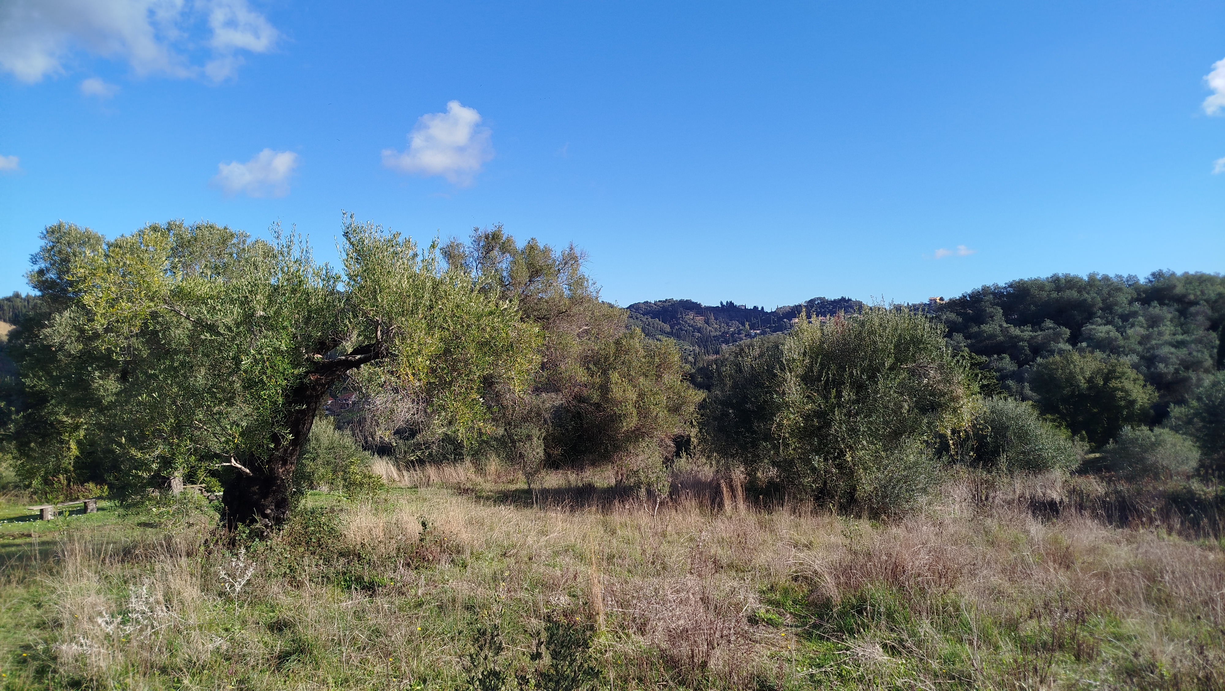 Listing photograph 3 of 6 of the land in Arilas, published by Roula Rouva Real Estate.