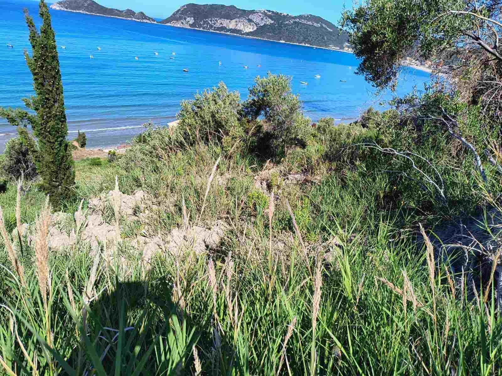 Listing photograph 2 of 4 of the land in Agios Georgios, Northern Corfu, published by Roula Rouva Real Estate.