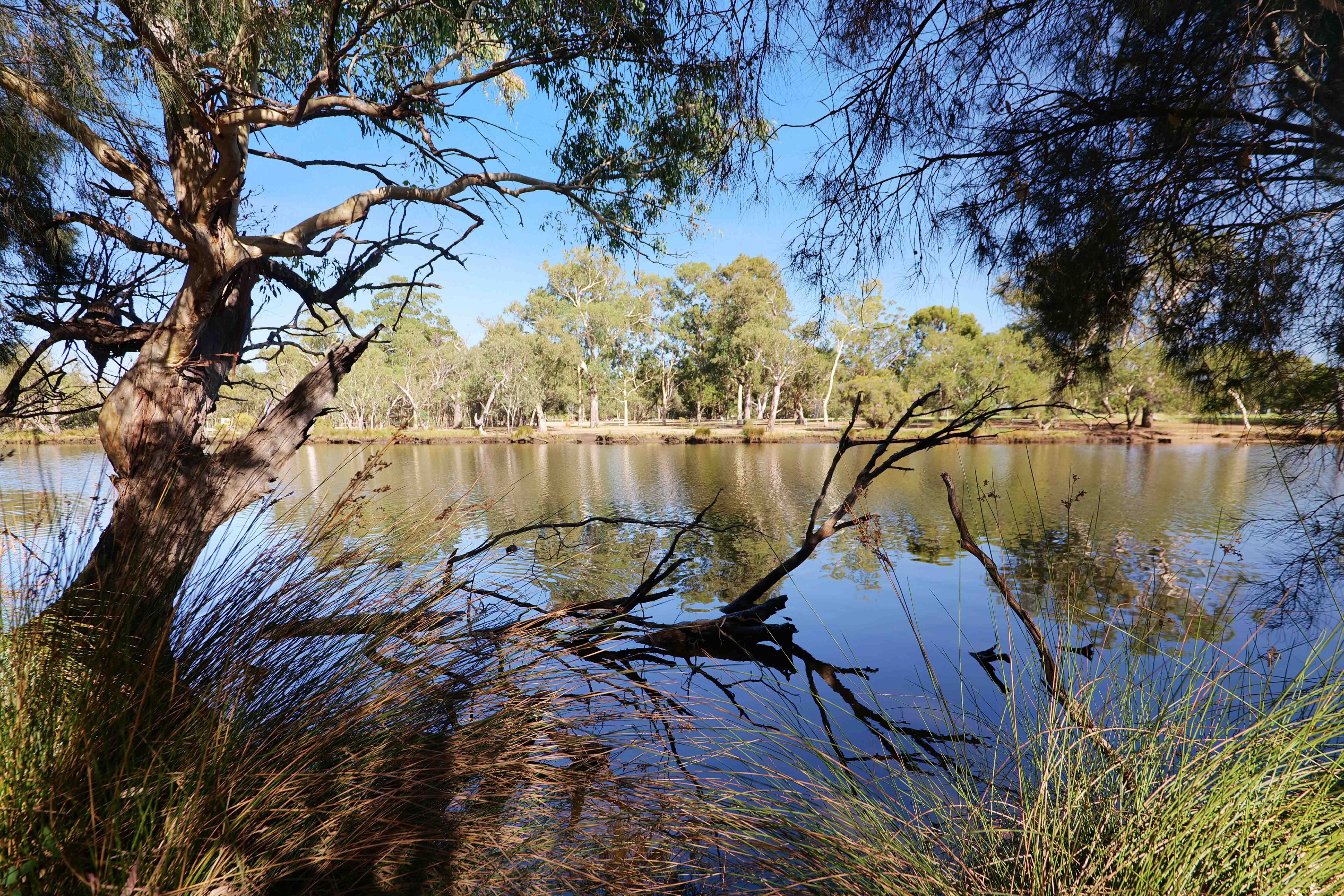 106 & 108 Terrace Road, Guildford WA 6055