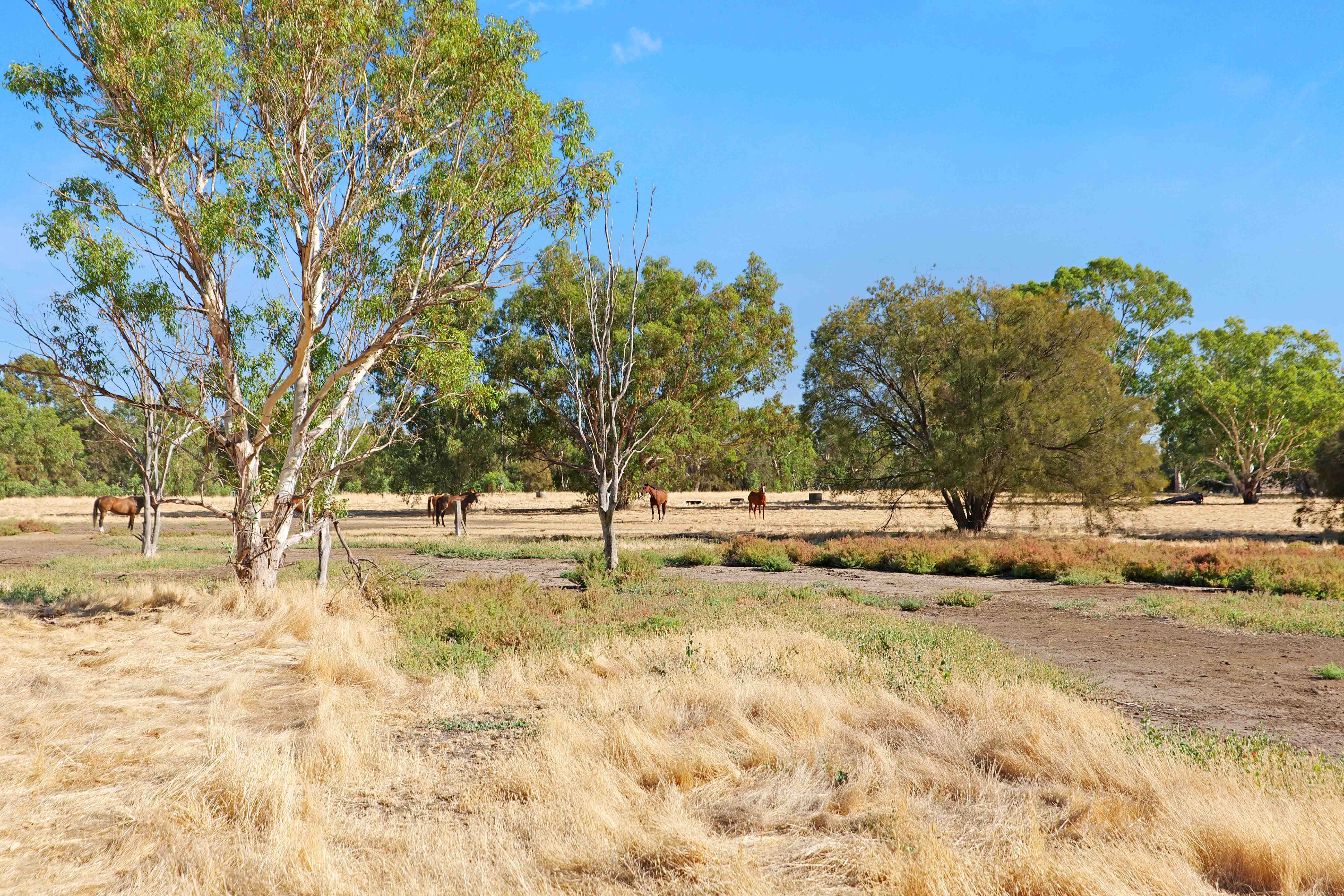 106 & 108 Terrace Road, Guildford WA 6055