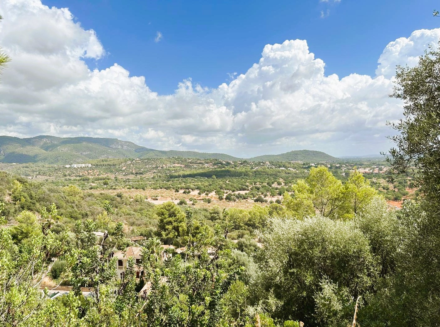 Property Image 2 Property Image 2