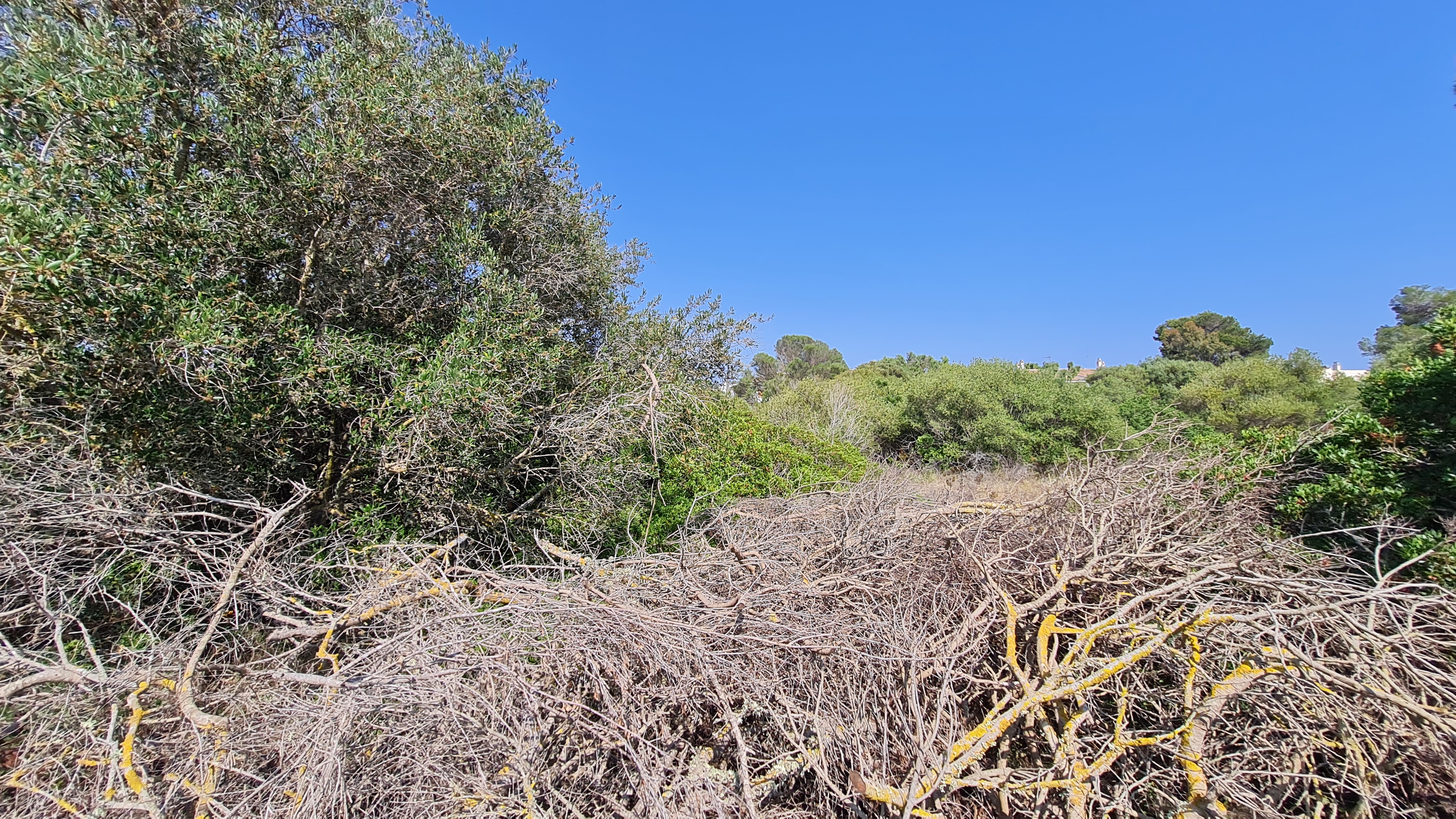 Property Image 1 Property Image 1