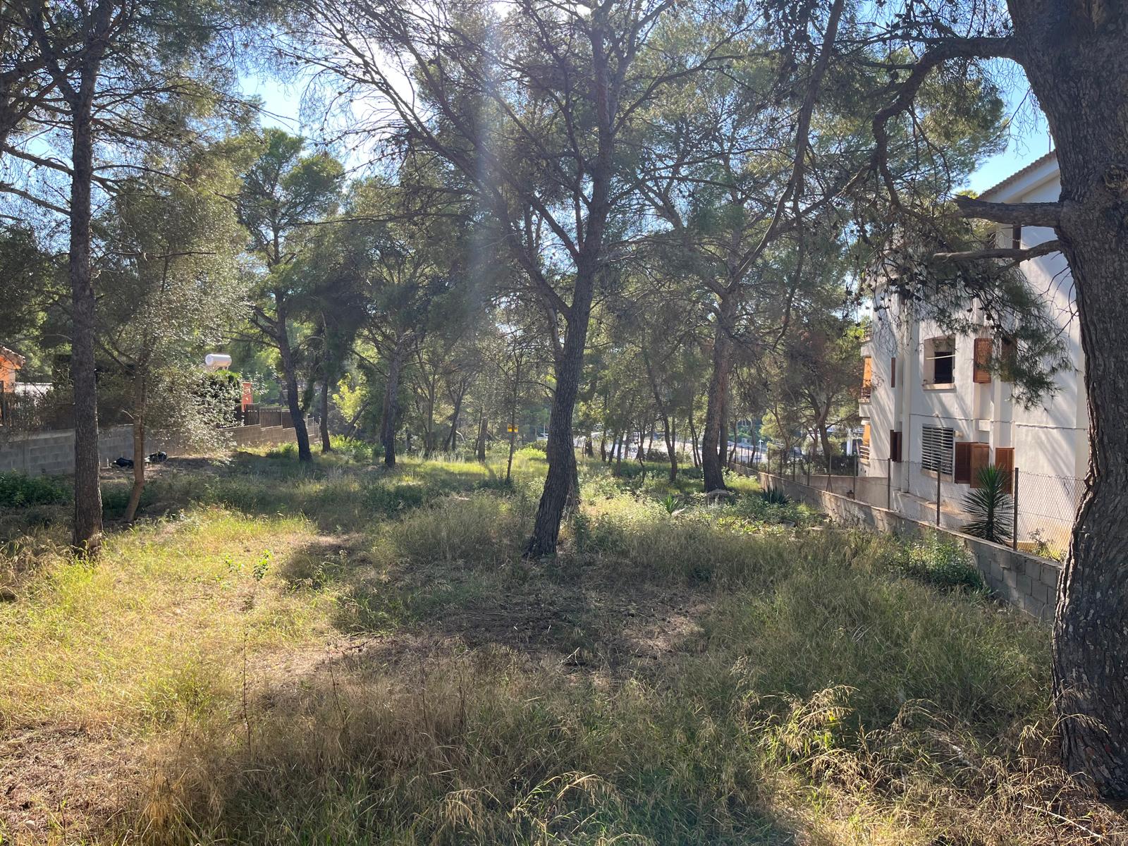 Property Image 4 Property Image 4