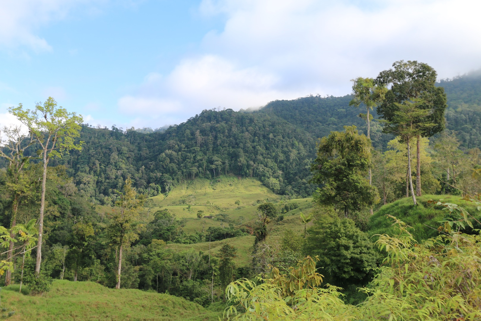 0 bed Land For Sale in Uvita, Puntarenas - thumb 2