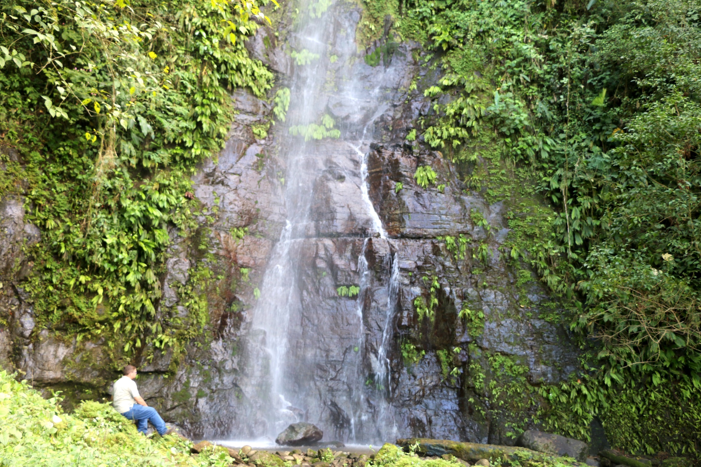 0 bed Land For Sale in Uvita, Puntarenas - thumb 1