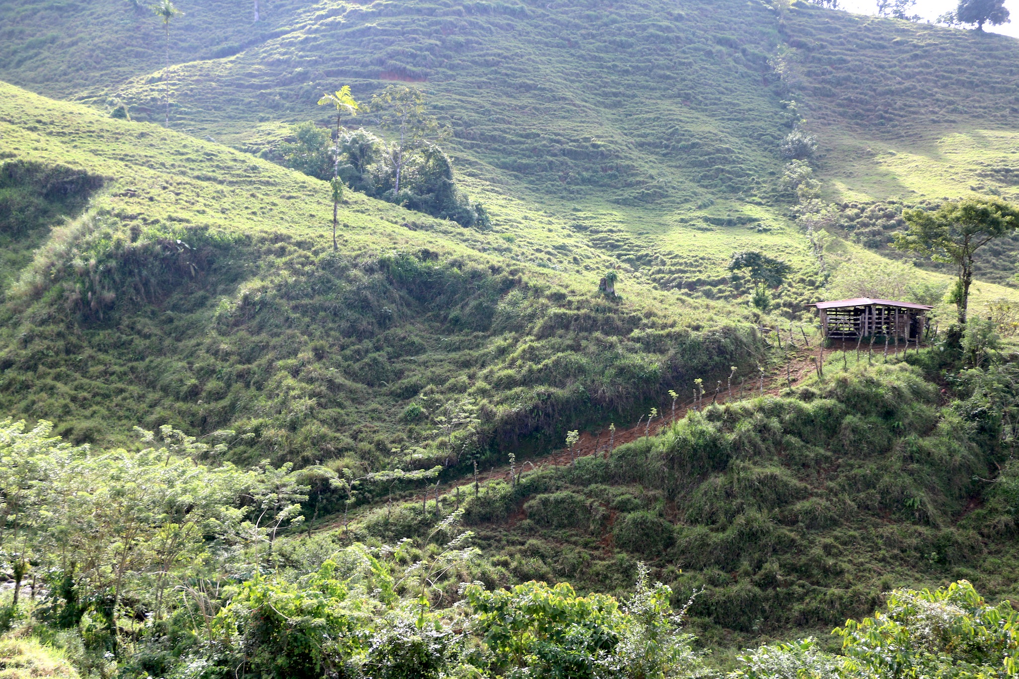 0 bed Land For Sale in Uvita, Puntarenas - thumb 3