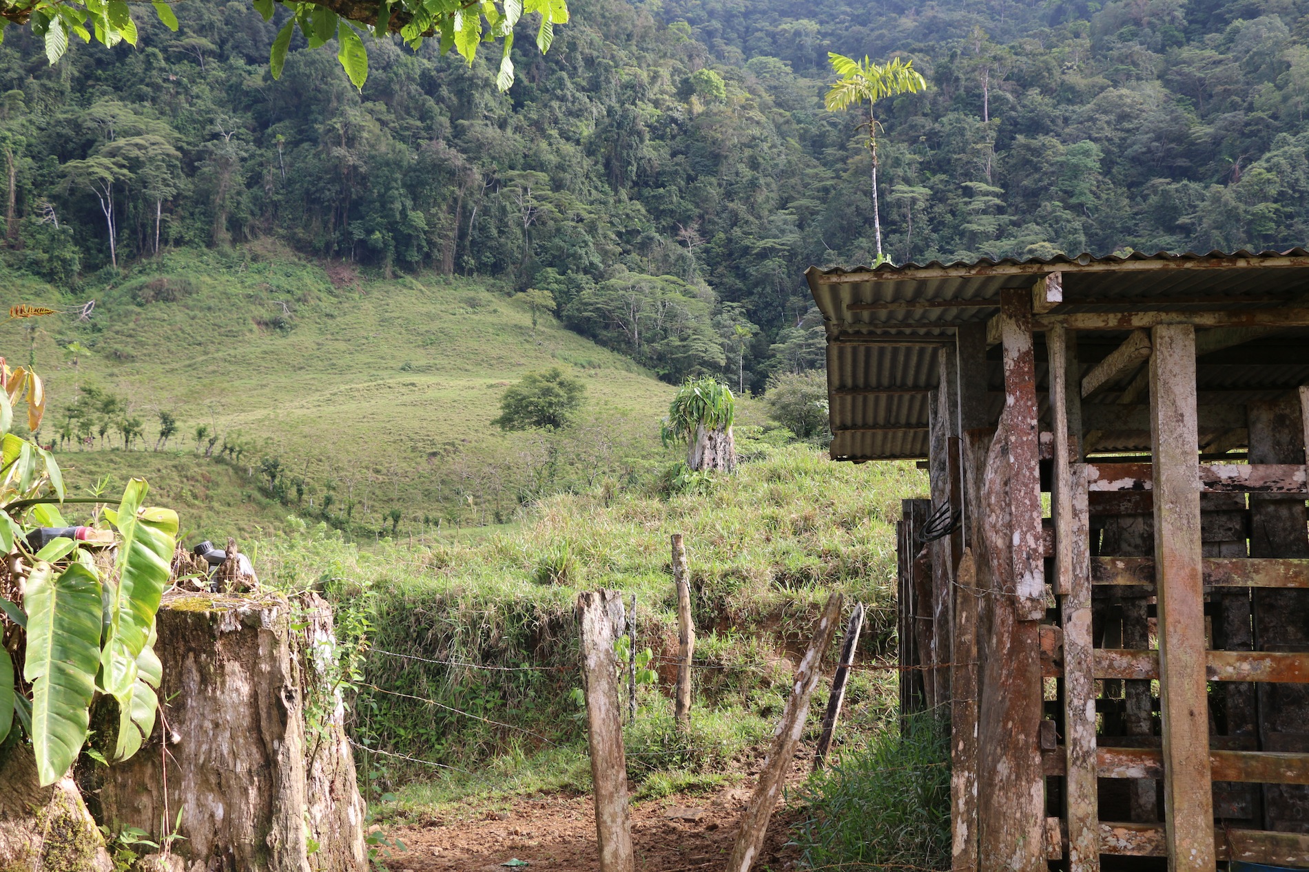 0 bed Land For Sale in Uvita, Puntarenas - thumb 4