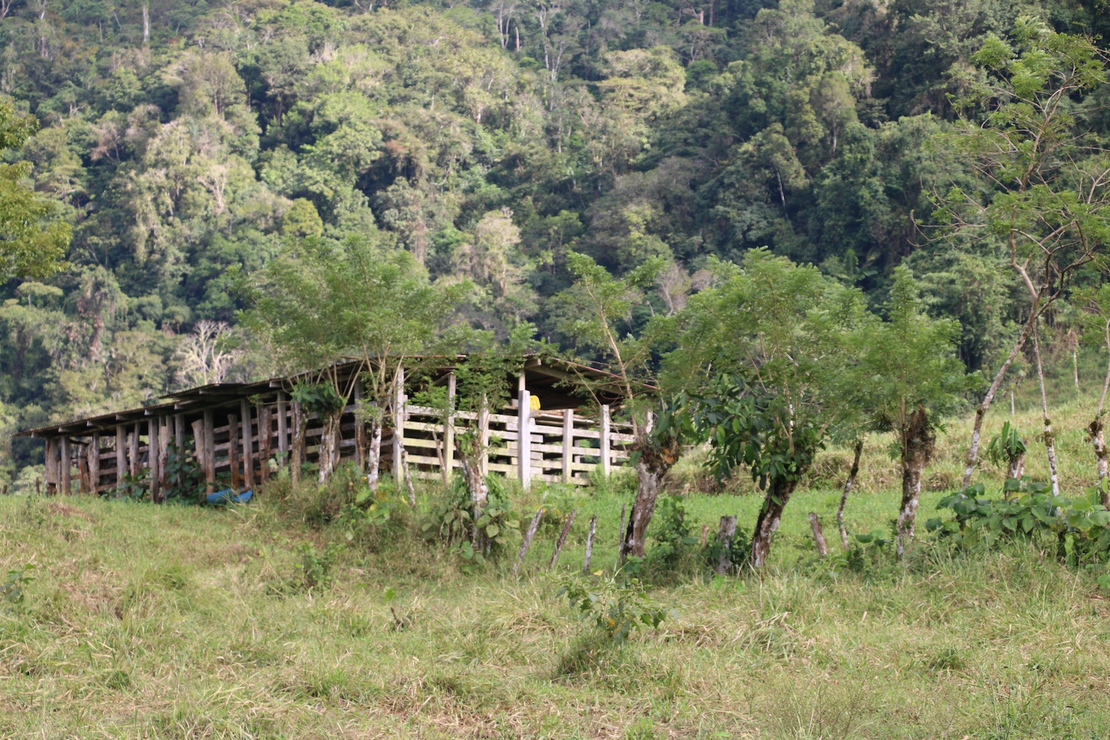 0 bed Land For Sale in Uvita, Puntarenas - thumb 5