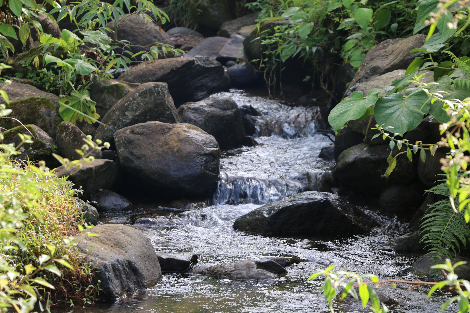 0 bed Land For Sale in Uvita, Puntarenas - thumb 7