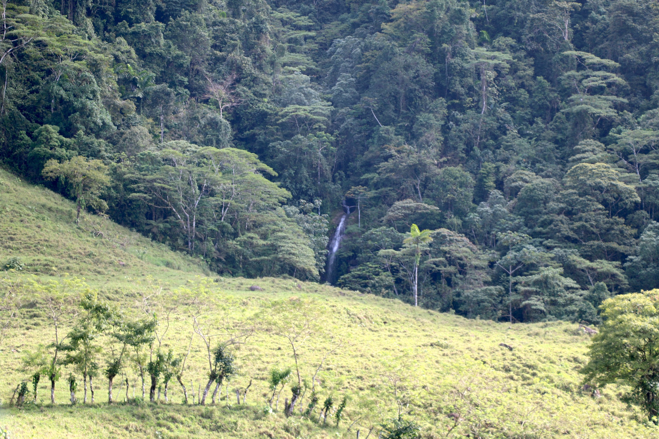 0 bed Land For Sale in Uvita, Puntarenas - thumb 8