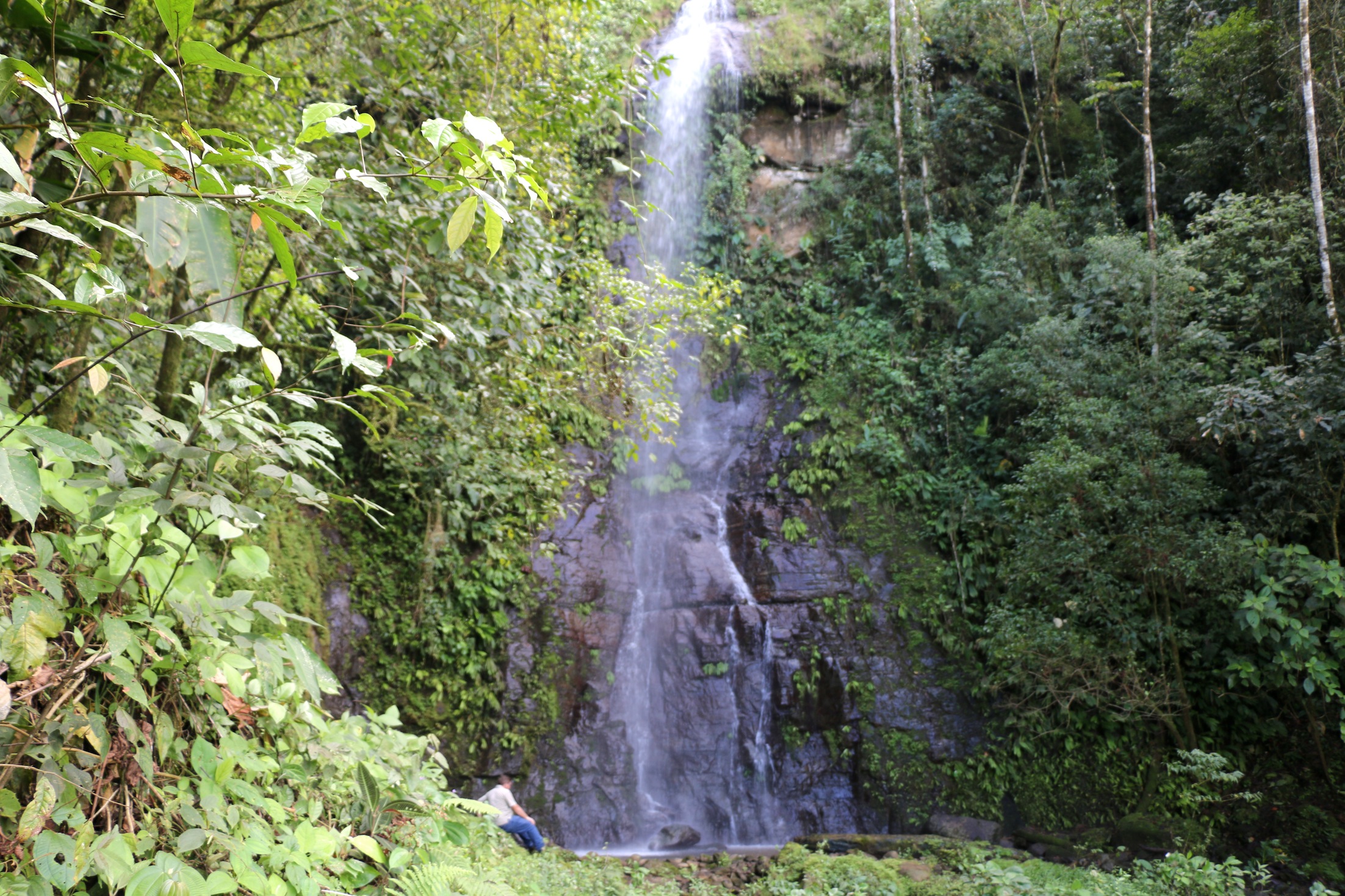 0 bed Land For Sale in Uvita, Puntarenas - thumb 9