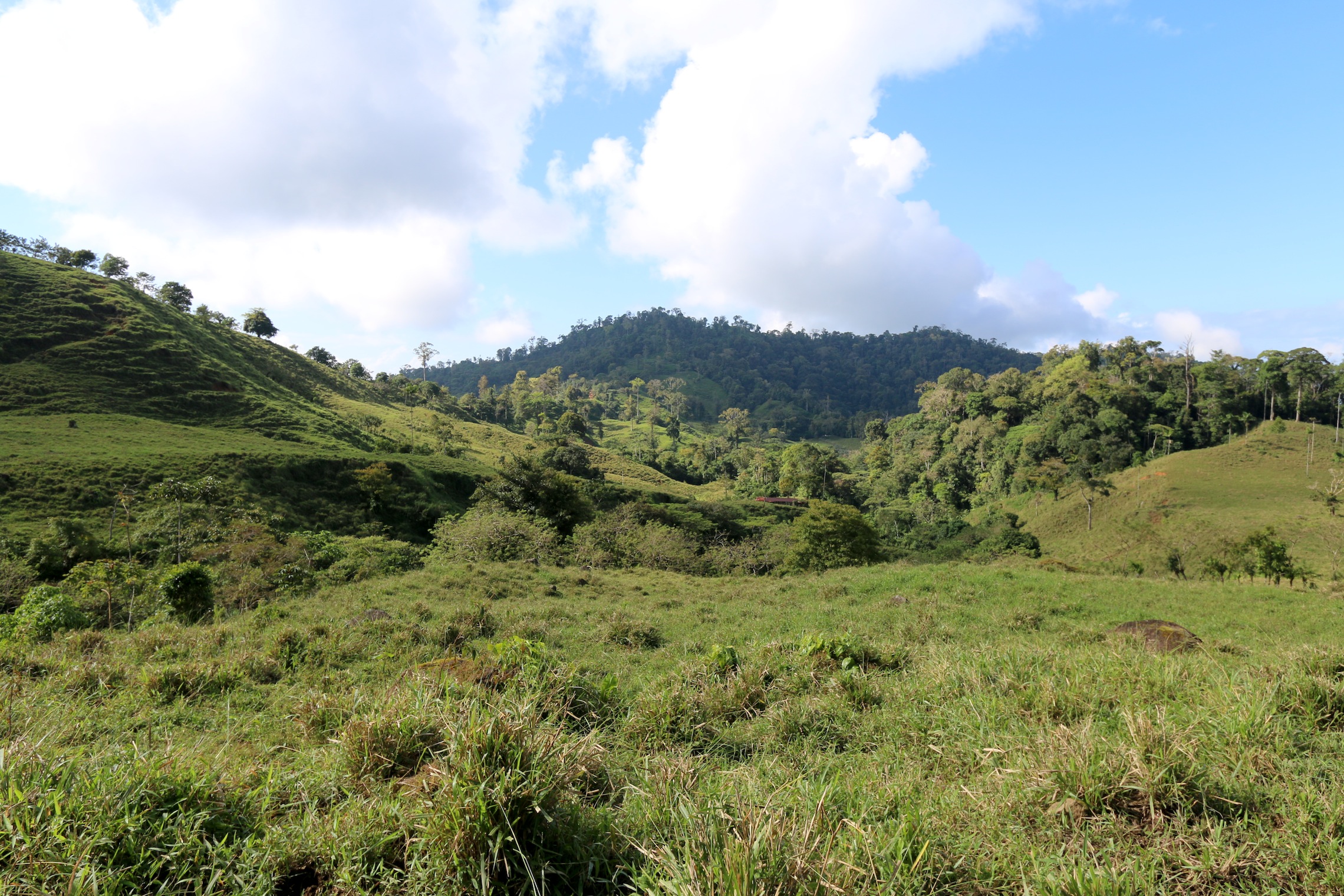 0 bed Land For Sale in Uvita, Puntarenas - thumb 10