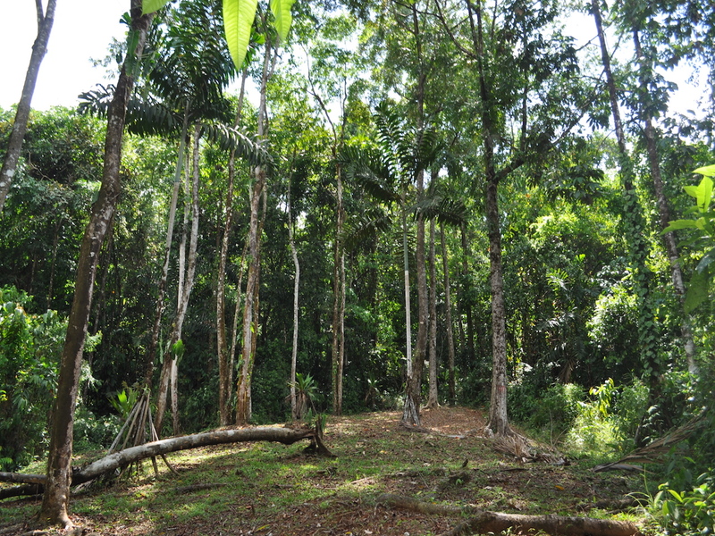 0 bed Land For Sale in Matapalo, Puntarenas - 1
