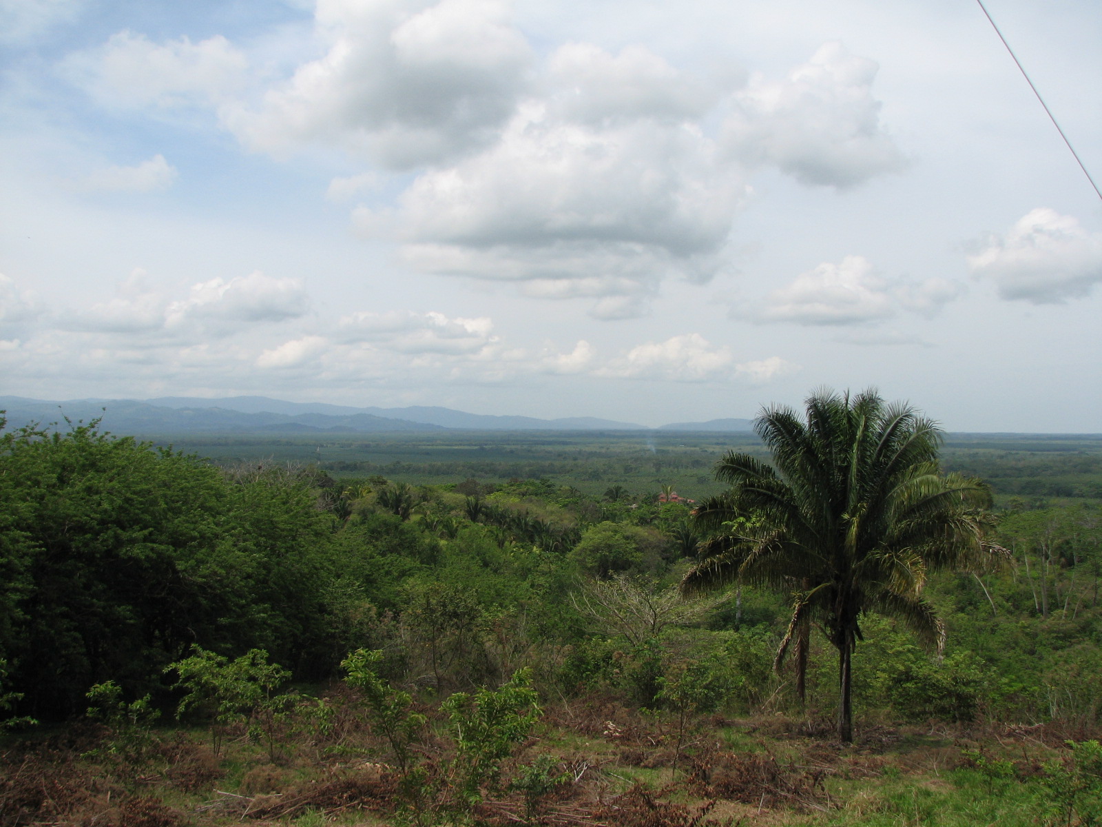 2 bed Single Family Homes For Sale in Palmar, Puntarenas - thumb 5