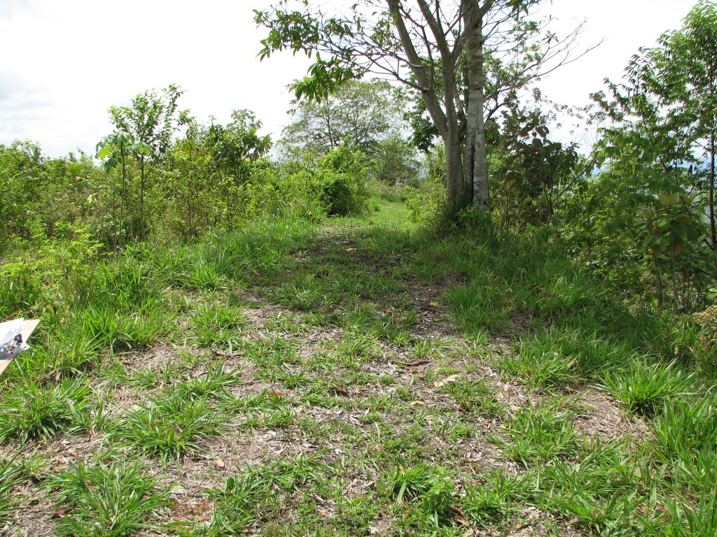 2 bed Single Family Homes For Sale in Palmar, Puntarenas - thumb 18