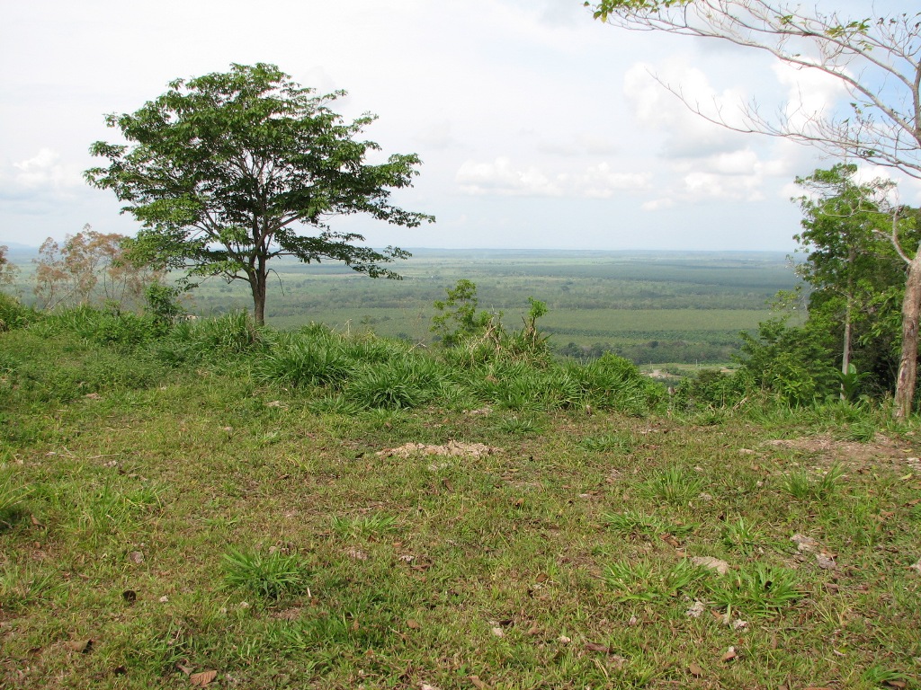 2 bed Single Family Homes For Sale in Palmar, Puntarenas - thumb 14