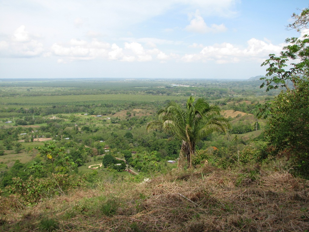 2 bed Single Family Homes For Sale in Palmar, Puntarenas - thumb 17