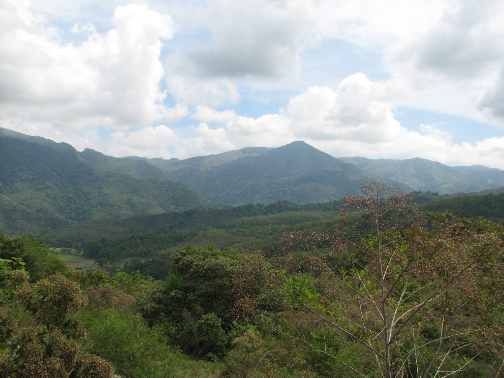 2 bed Single Family Homes For Sale in Palmar, Puntarenas - thumb 16