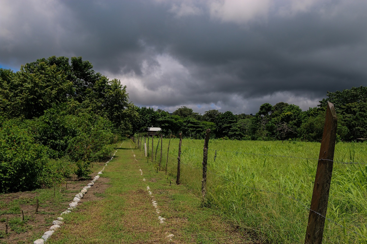 4 bed Single Family Homes For Sale in Puntarenas, Puntarenas - thumb 21