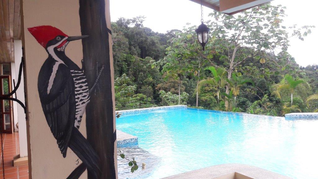8 bed Single Family Homes For Sale in Dominical, Puntarenas - thumb 11