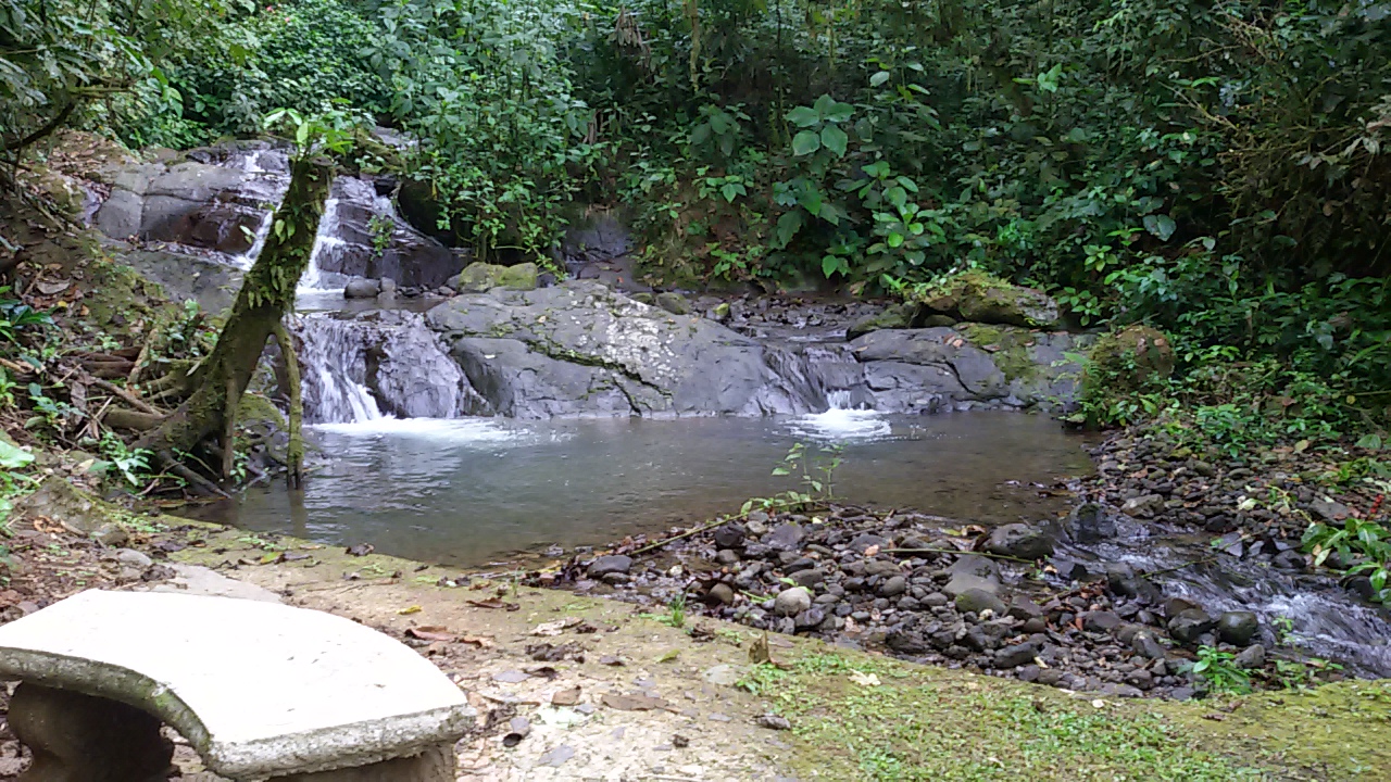 8 bed Single Family Homes For Sale in Dominical, Puntarenas - thumb 18