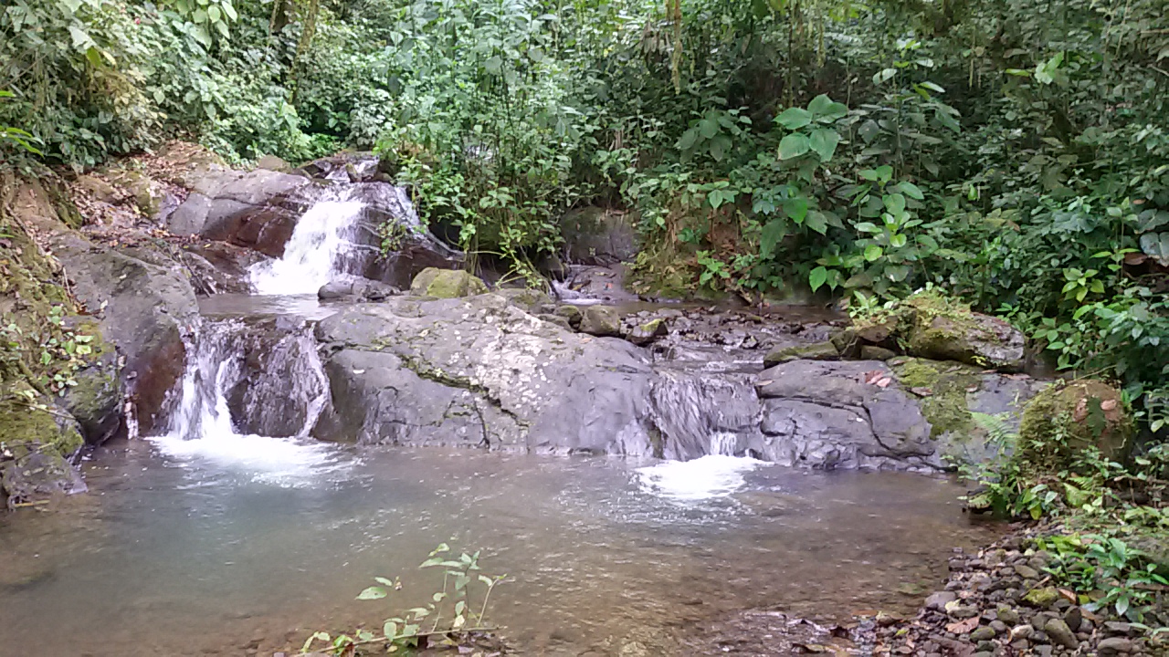 8 bed Single Family Homes For Sale in Dominical, Puntarenas - thumb 19