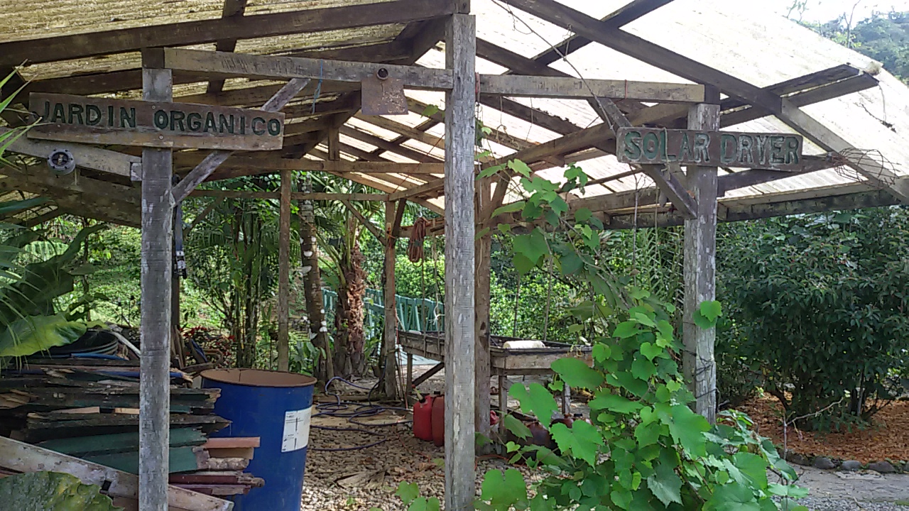 8 bed Single Family Homes For Sale in Dominical, Puntarenas - thumb 20