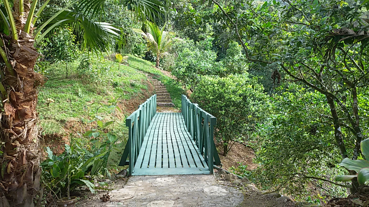8 bed Single Family Homes For Sale in Dominical, Puntarenas - thumb 25