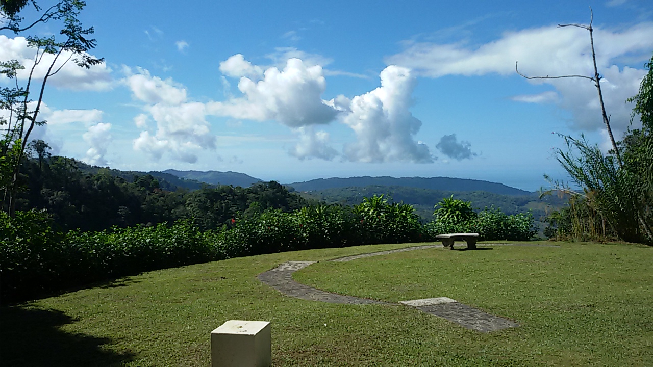 8 bed Single Family Homes For Sale in Dominical, Puntarenas - thumb 12