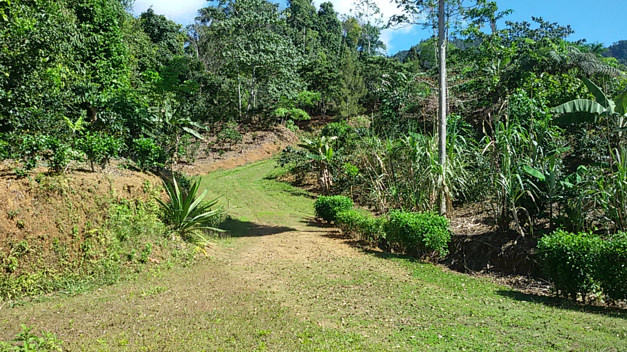 8 bed Single Family Homes For Sale in Dominical, Puntarenas - thumb 22