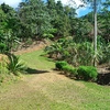  - Clean Energy Nature Compound with Waterfalls and Coffee Farm