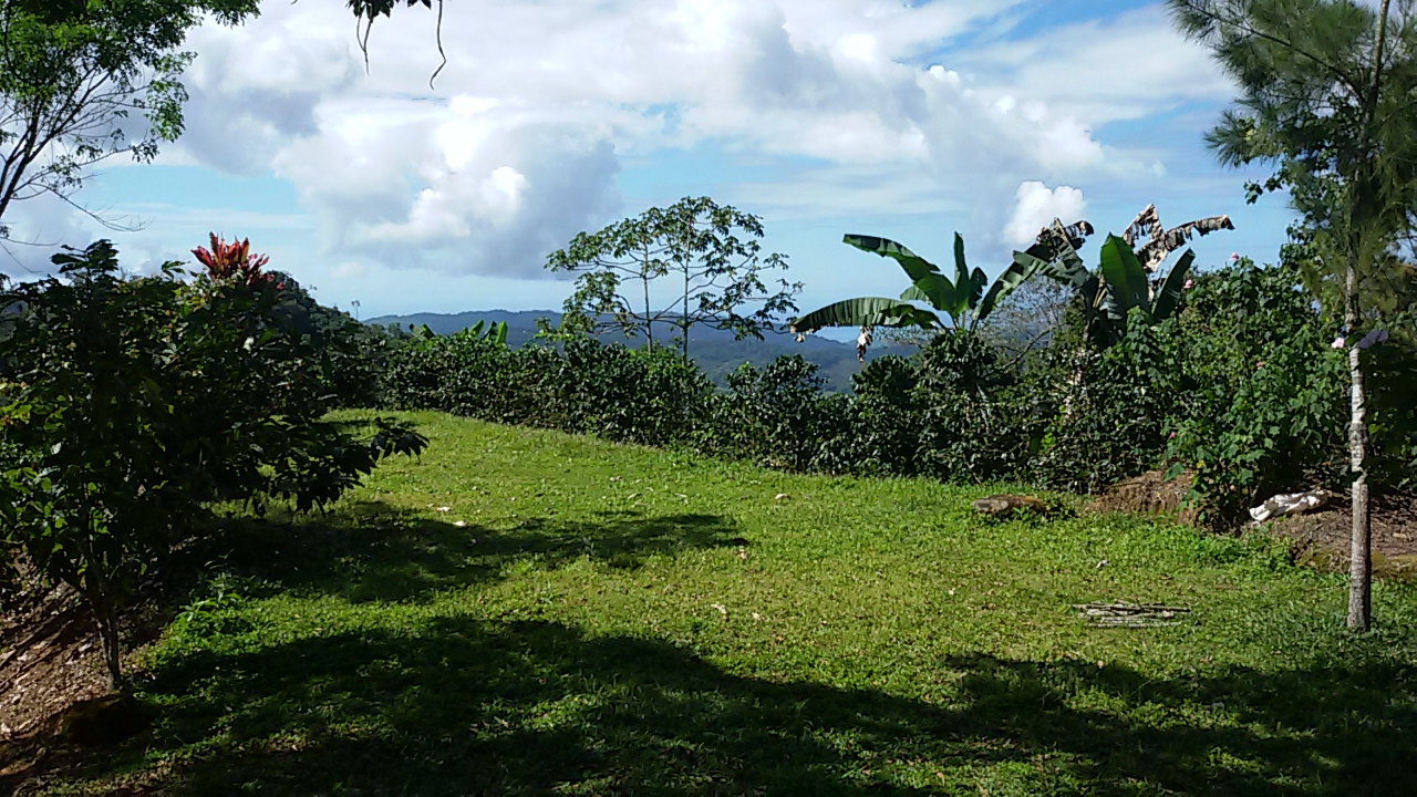 8 bed Single Family Homes For Sale in Dominical, Puntarenas - thumb 23