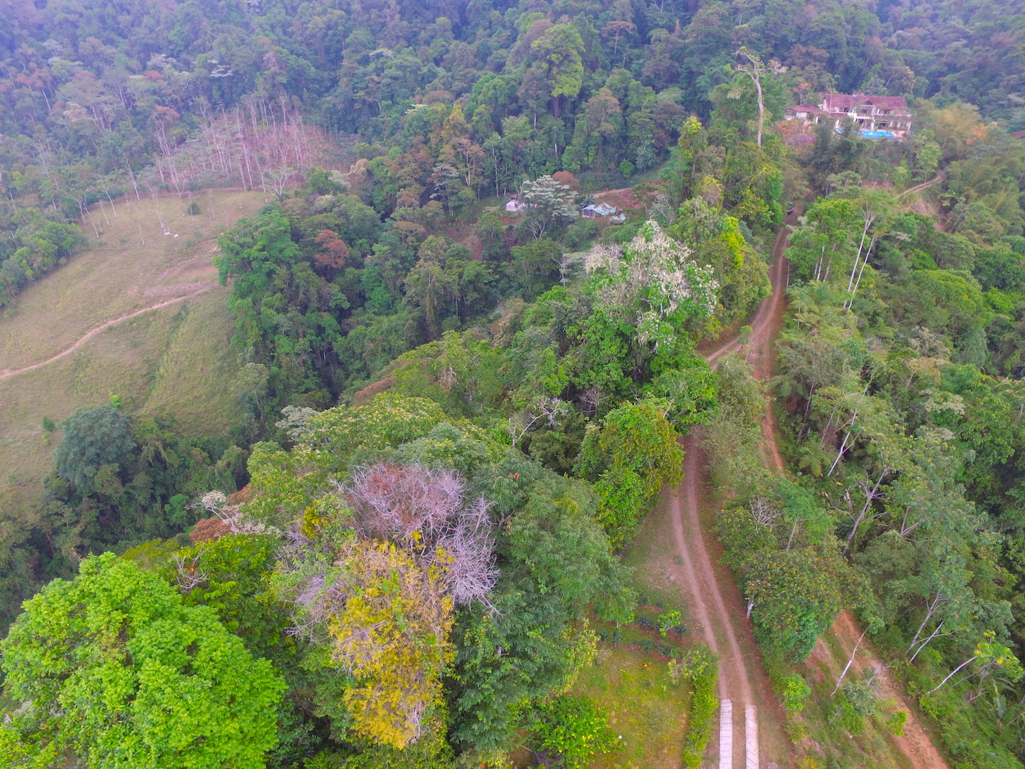 8 bed Single Family Homes For Sale in Dominical, Puntarenas - thumb 8
