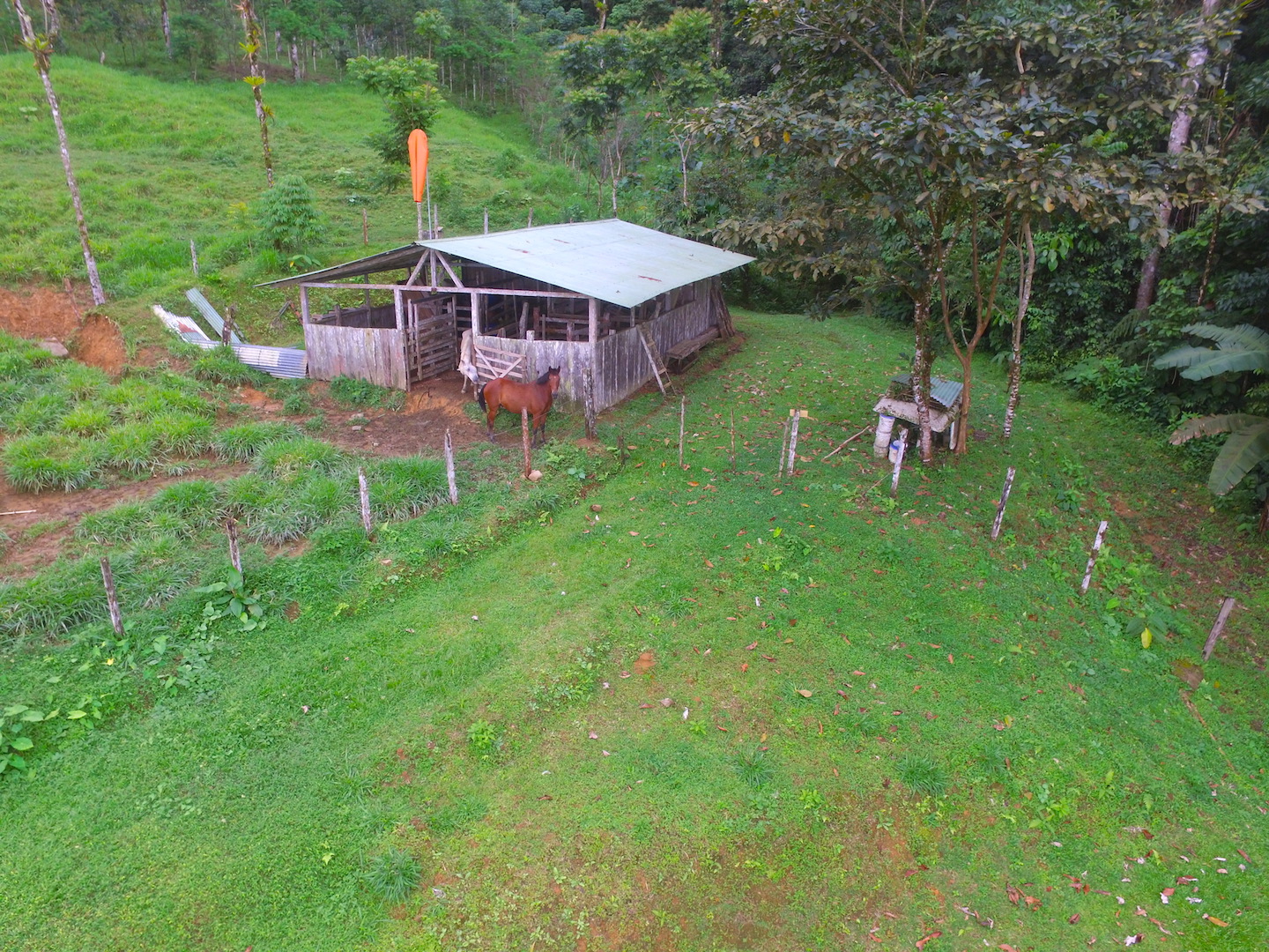8 bed Single Family Homes For Sale in Dominical, Puntarenas - thumb 9