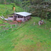  - Clean Energy Nature Compound with Waterfalls and Coffee Farm