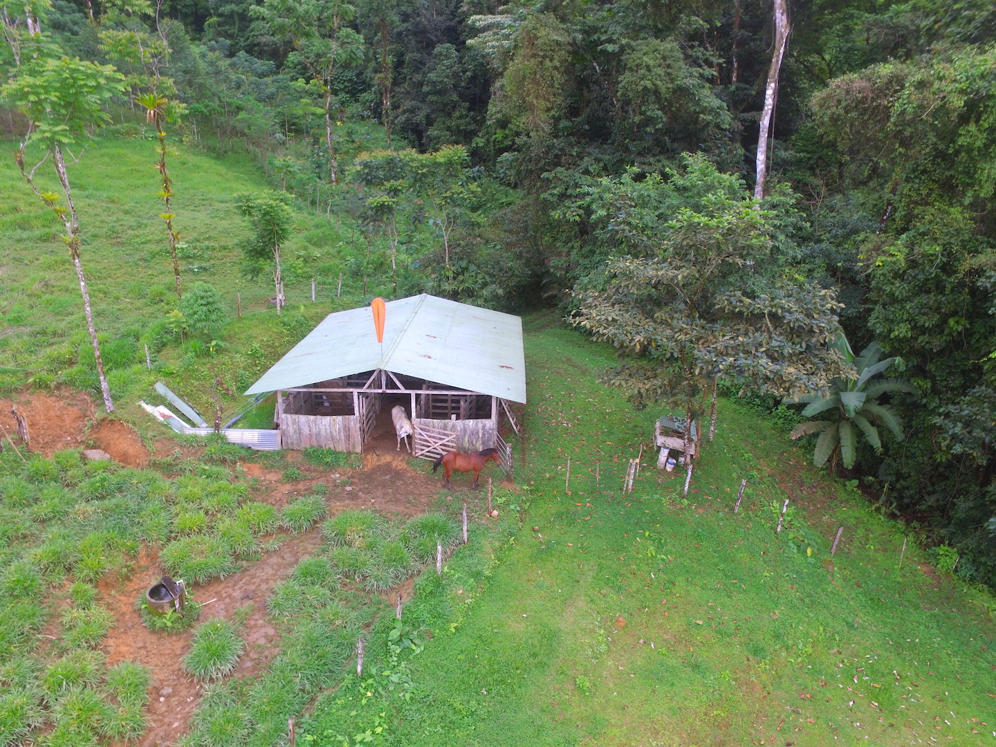 8 bed Single Family Homes For Sale in Dominical, Puntarenas - thumb 7