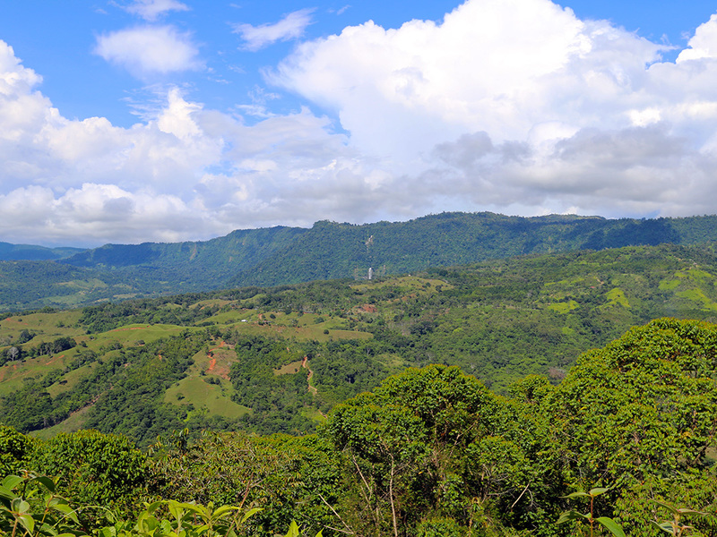 0 bed Land For Sale in Dominical, Puntarenas - 1