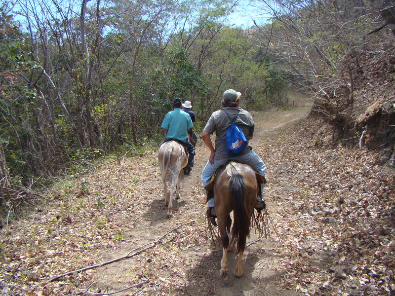 0 bed Land For Sale in Sardinal, Guanacaste - 1