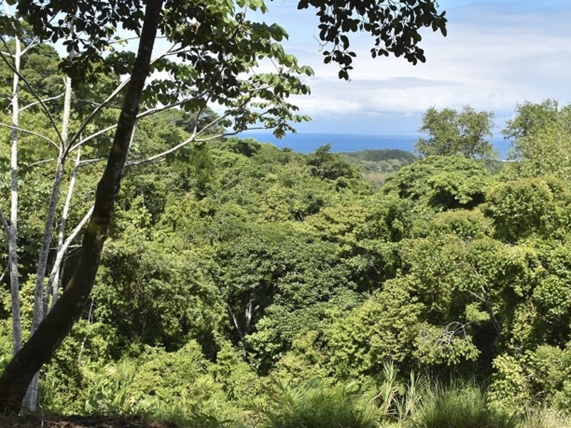 0 bed Land For Sale in Dominical, Puntarenas - 1