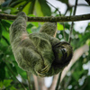  - Full-Featured Eco Resort Hotel in the Foothills of the Arenal Volcano
