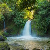  - Full-Featured Eco Resort Hotel in the Foothills of the Arenal Volcano