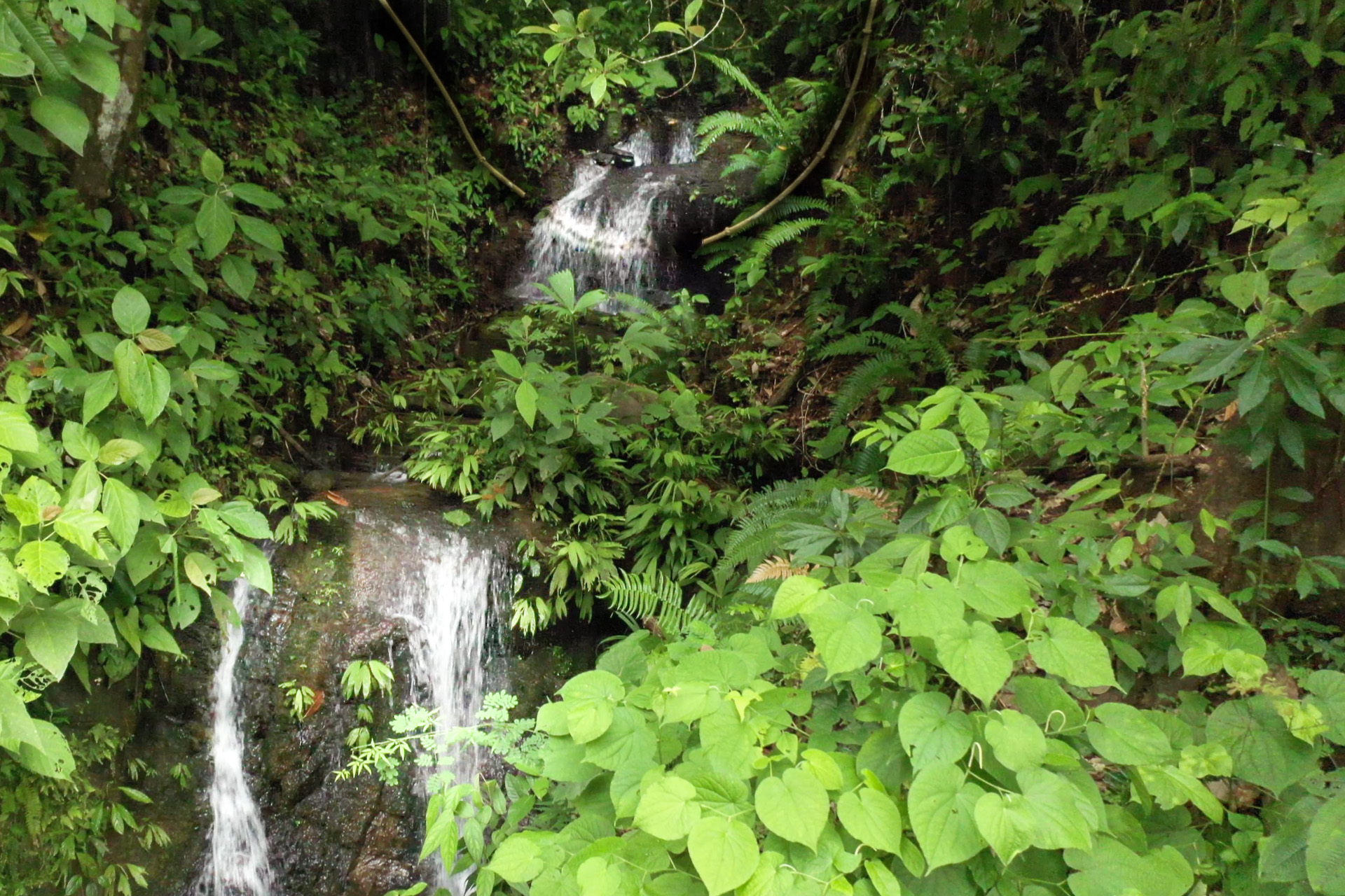 3 bed Single Family Homes For Sale in Quepos, Puntarenas - thumb 22