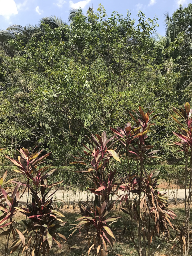 2 bed Condo For Sale in Quepos, Puntarenas - thumb 20