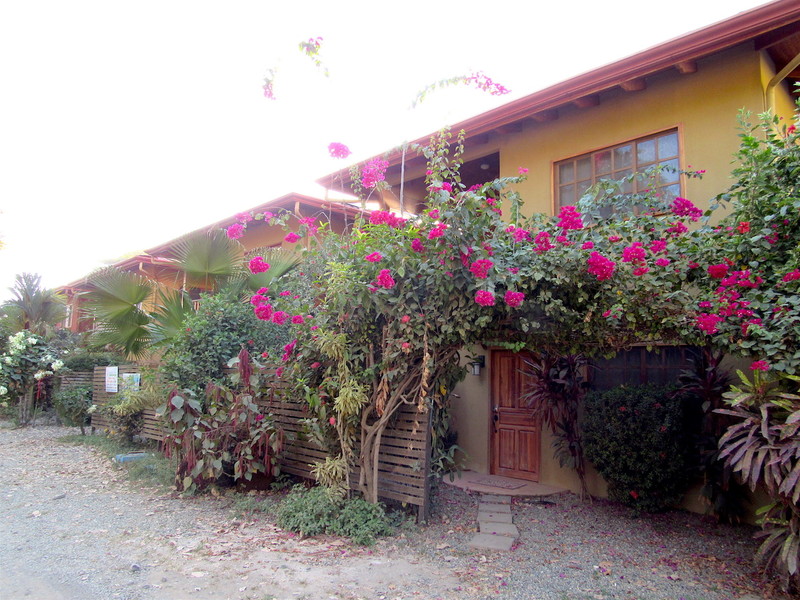 3 bed Single Family Homes For Sale in Dominical, Puntarenas - 1