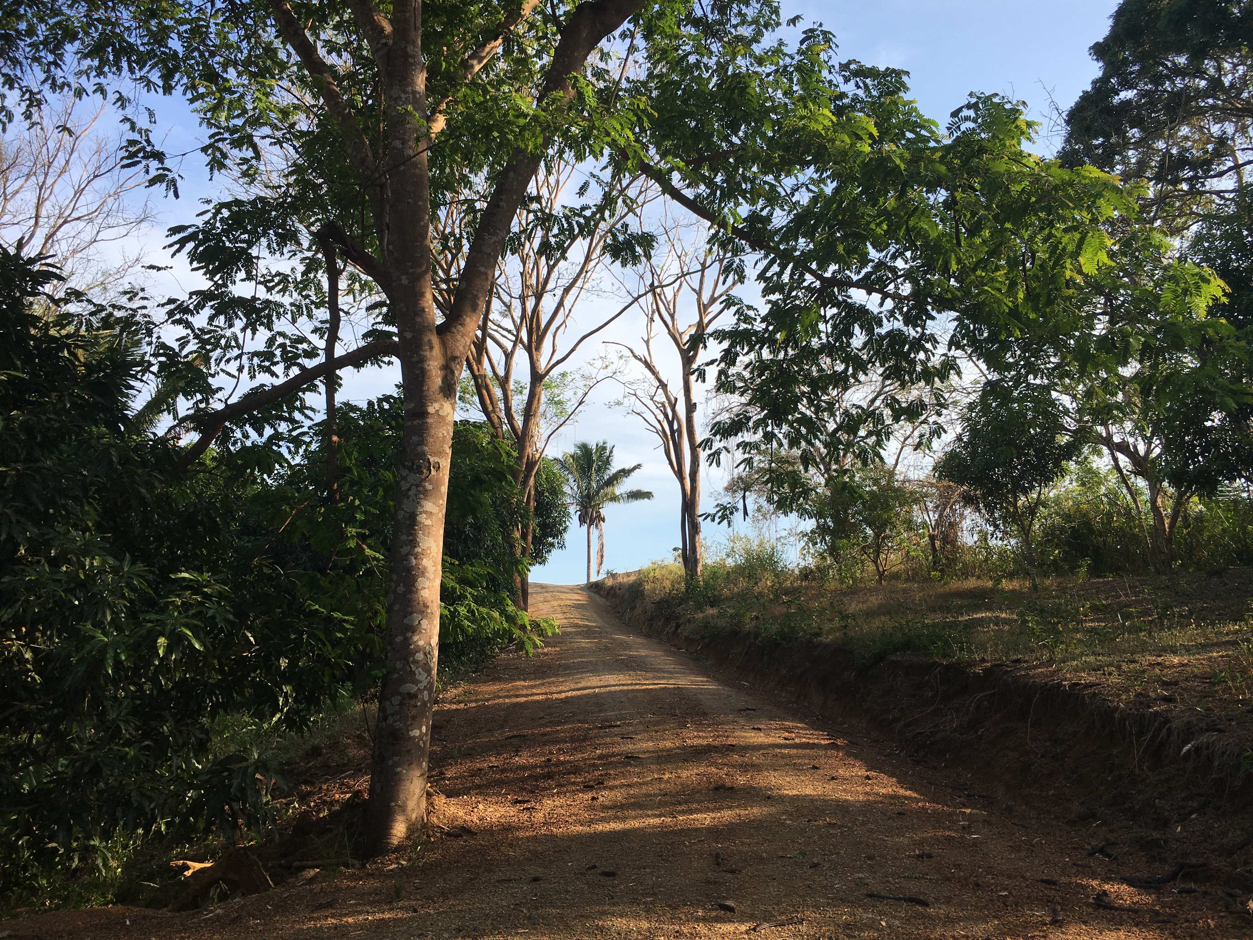 0 bed Land For Sale in Samara, Guanacaste - thumb 1