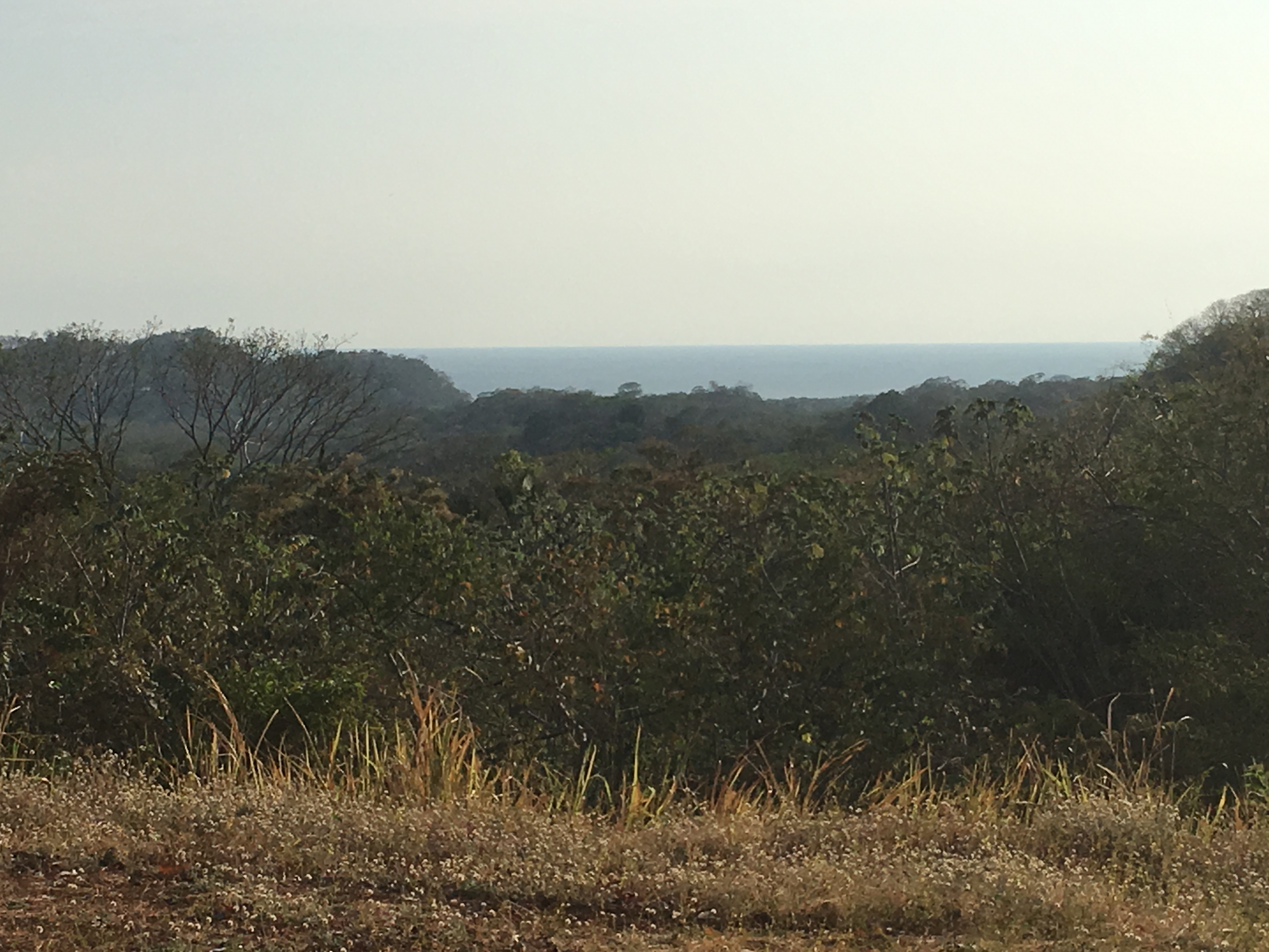 0 bed Land For Sale in Samara, Guanacaste - thumb 3