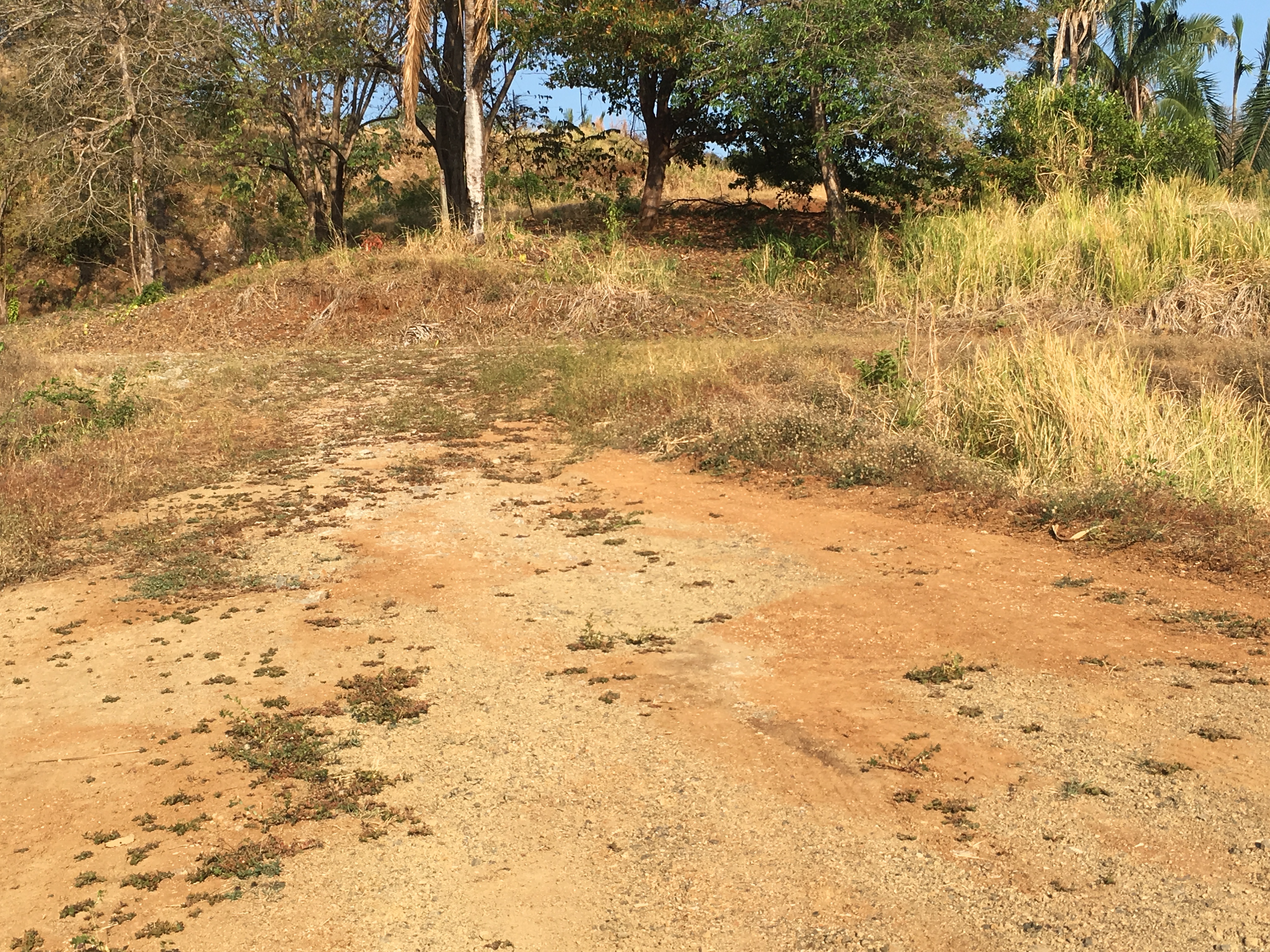 0 bed Land For Sale in Samara, Guanacaste - thumb 4