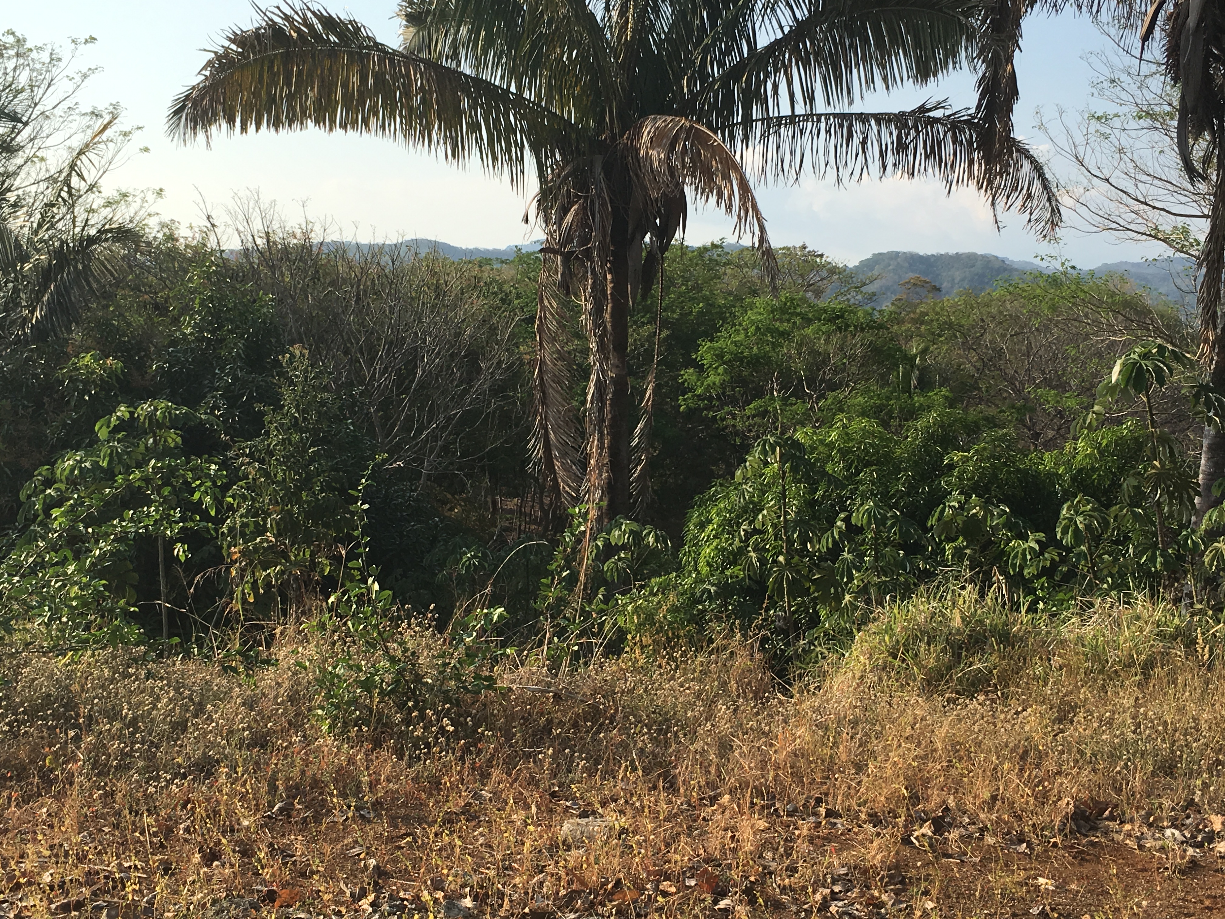 0 bed Land For Sale in Samara, Guanacaste - thumb 5