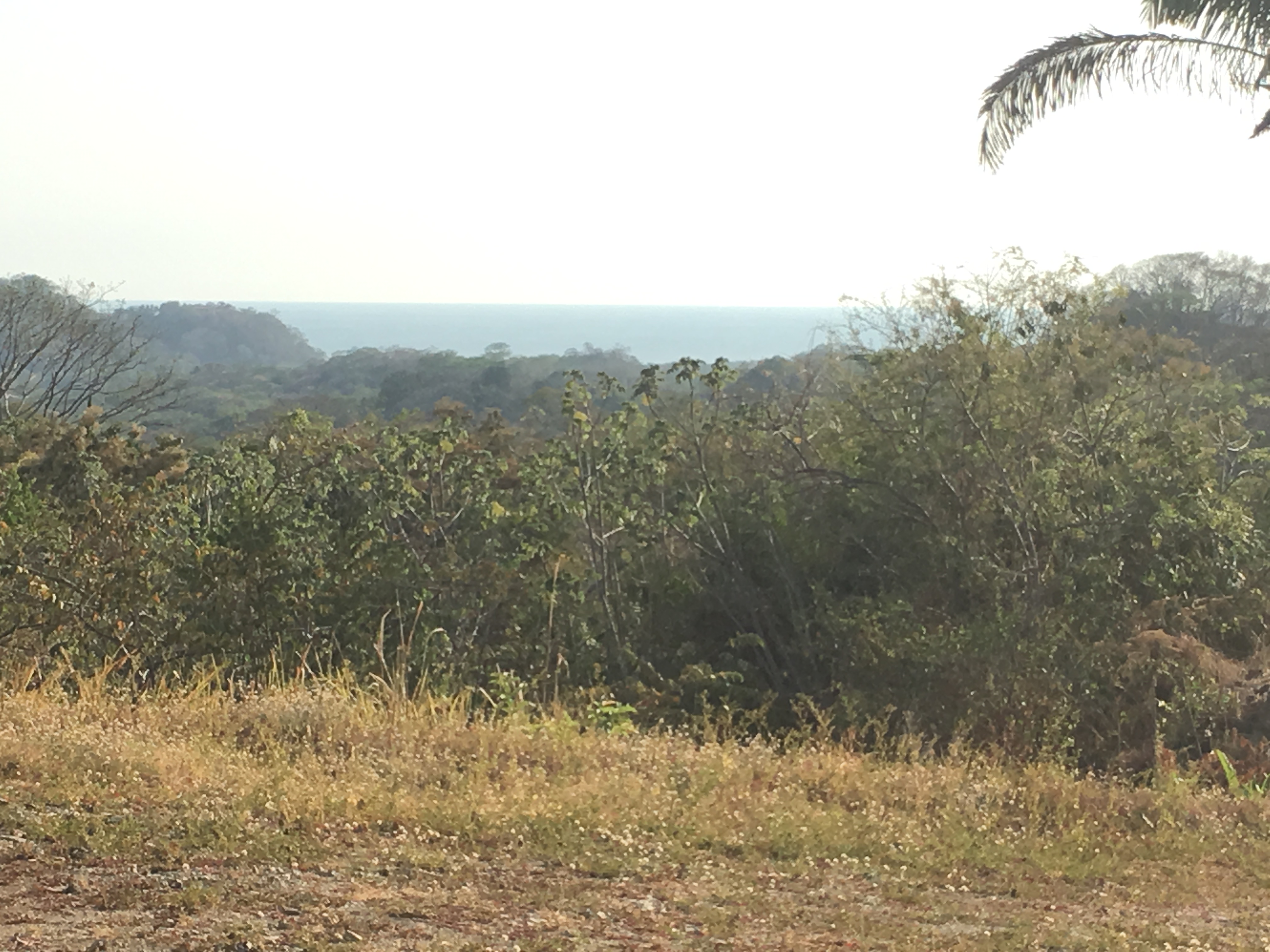 0 bed Land For Sale in Samara, Guanacaste - thumb 7